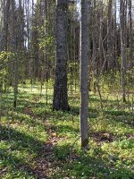 IMG_20260502_172608_666.jpg