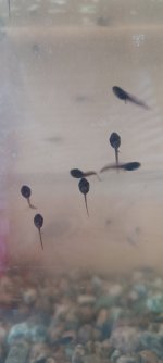 1000107663.jpg