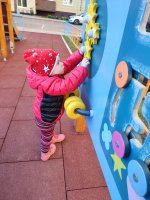 IMG_20260502_161141.jpg
