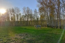 IMG_20260504_101953.jpg