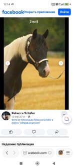 Screenshot_2026-05-04-17-14-38-851_com.mi.globalbrowser.jpg