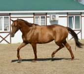 IMG_20260419_092506.png