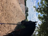 IMG_2103.jpeg