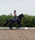 IMG_2080.jpeg