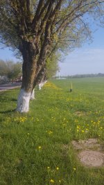 IMG_20260505_085628.jpg
