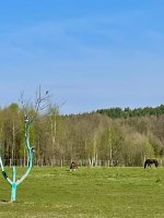 IMG_0032.jpeg