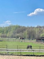 IMG_0028.jpeg