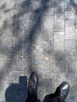 20260503_125624.jpg