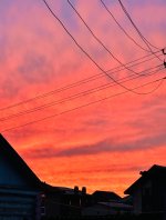 IMG_8517.jpeg