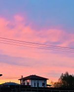 IMG_8516.jpeg