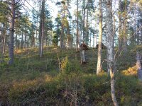 IMG_20260508_202238_280.jpg
