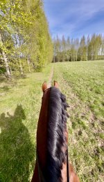 IMG_5398.jpeg