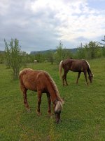 IMG_20260509_163547.jpg