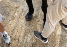 IMG_2256.jpeg
