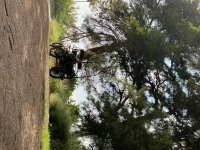 IMG_2268.jpeg
