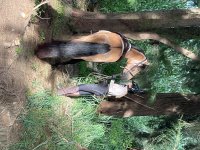 IMG_2271.jpeg