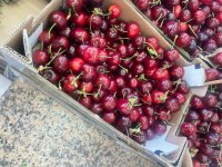 IMG_2280.jpeg