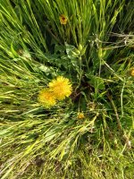 20260505_165905.jpg