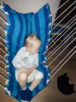 IMG_20260513_013947.jpg