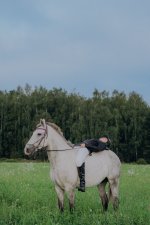 DSC03095.jpg