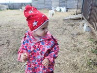 IMG_20260513_142916.jpg