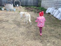 IMG_20260513_143055.jpg