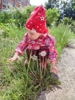 IMG_20260513_131400.jpg