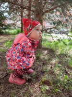 IMG_20260513_131630.jpg