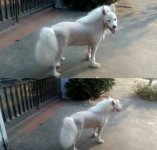 IMG_2149.jpeg