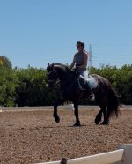IMG_2377.jpeg