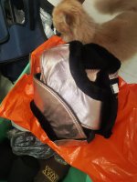 IMG_20250927_081455.jpg