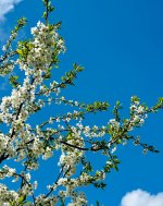 IMG_8610.jpeg