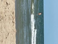 IMG_2462.jpeg