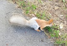 IMG_20260518_113527.jpg