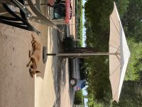 IMG_2495.jpeg