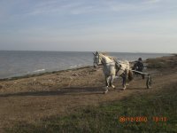 CIMG0506.JPG