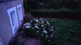 IMG_20260519_221139.jpg