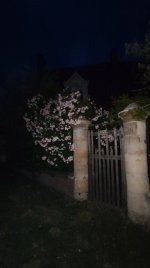 IMG_20260519_222355.jpg