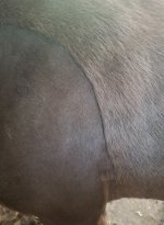 20260518_142951.jpg