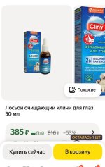 IMG_5604.jpeg