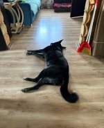 IMG_8699.jpeg