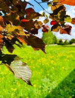 IMG_8704.jpeg