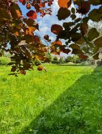 IMG_8705.jpeg