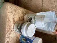 IMG_2559.jpeg