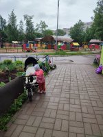 IMG_20260522_132406.jpg
