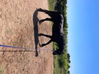 IMG_2615.jpeg