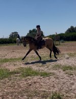 IMG_2613.jpeg