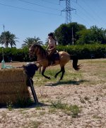 IMG_2612.jpeg