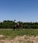 IMG_2610.jpeg