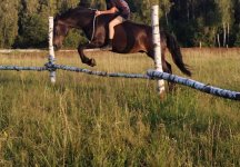 IMG_1335.jpeg